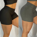Kit 2 Shorts Femininos Suplex Fitness